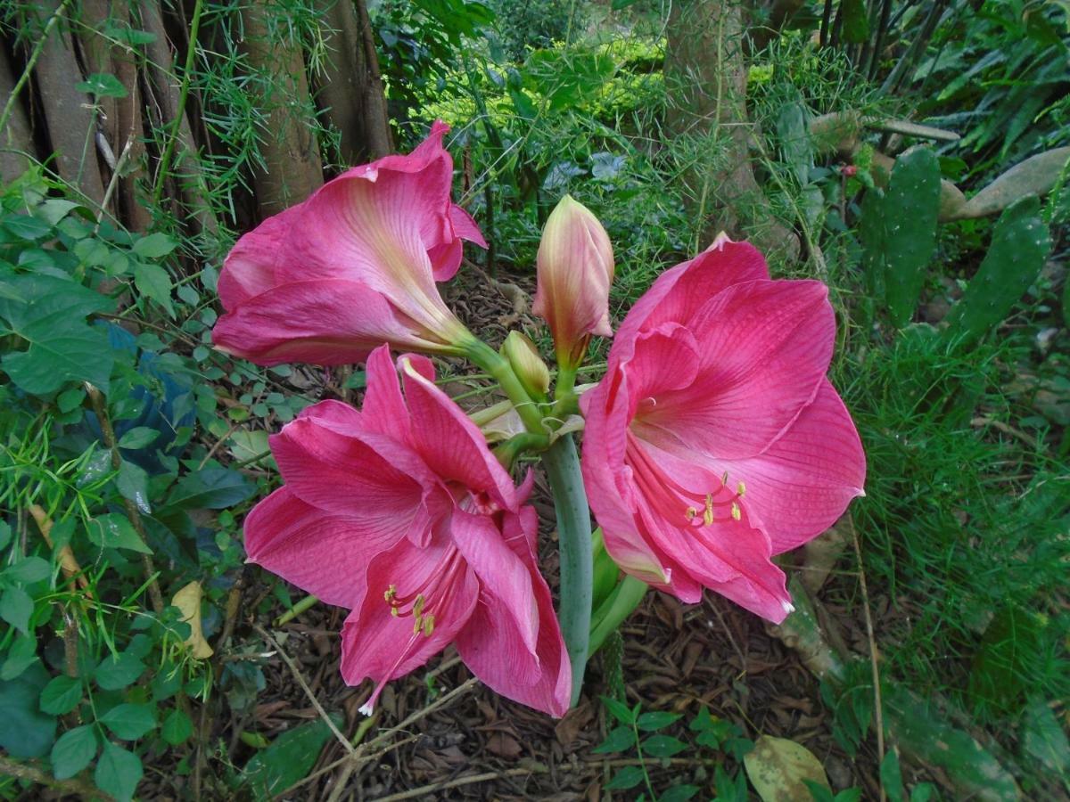 Themi Valley Eco And Cultural Tourism Homestay อารูชา ภายนอก รูปภาพ